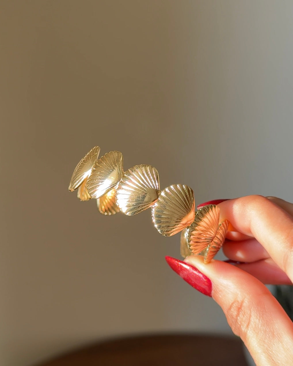 Shell Handcuff