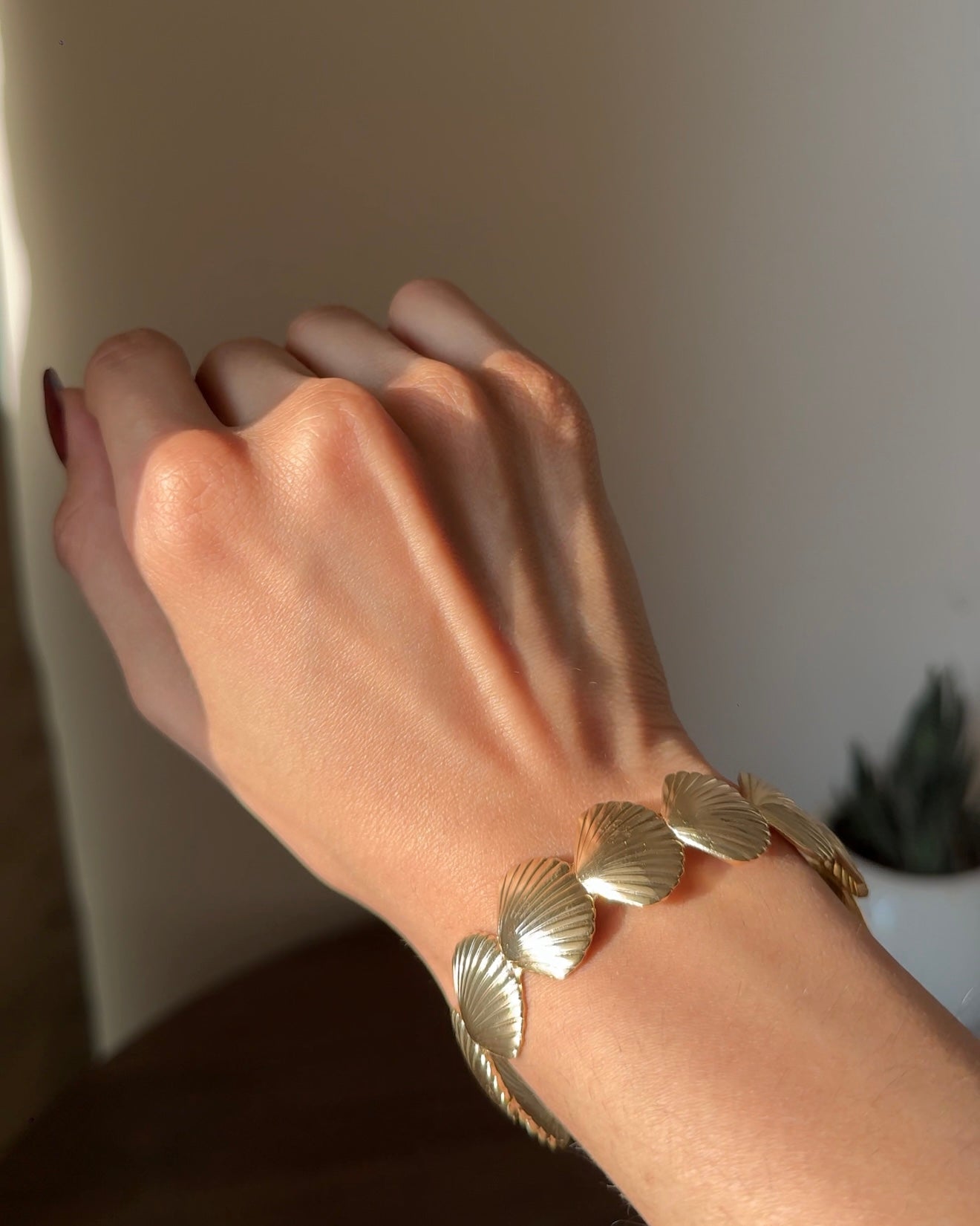 Shell Handcuff
